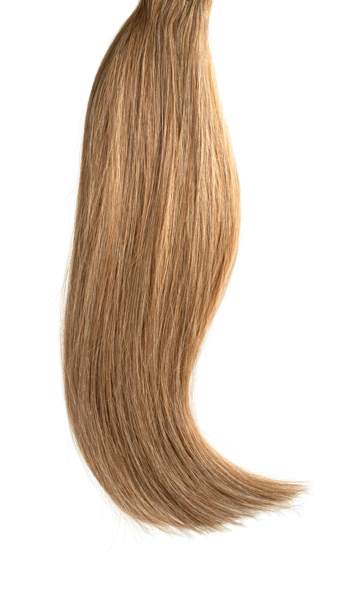 Hollywood Honey - Clip In