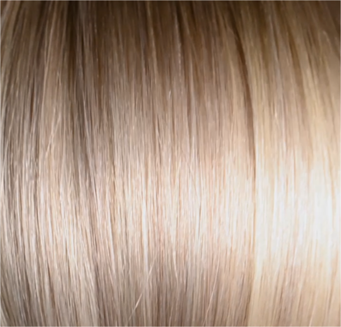 Jetset Life - Weft