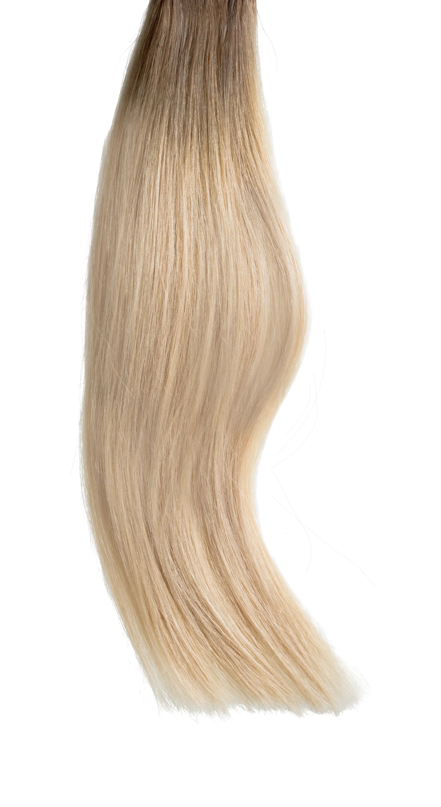 Jetset Life - Weft