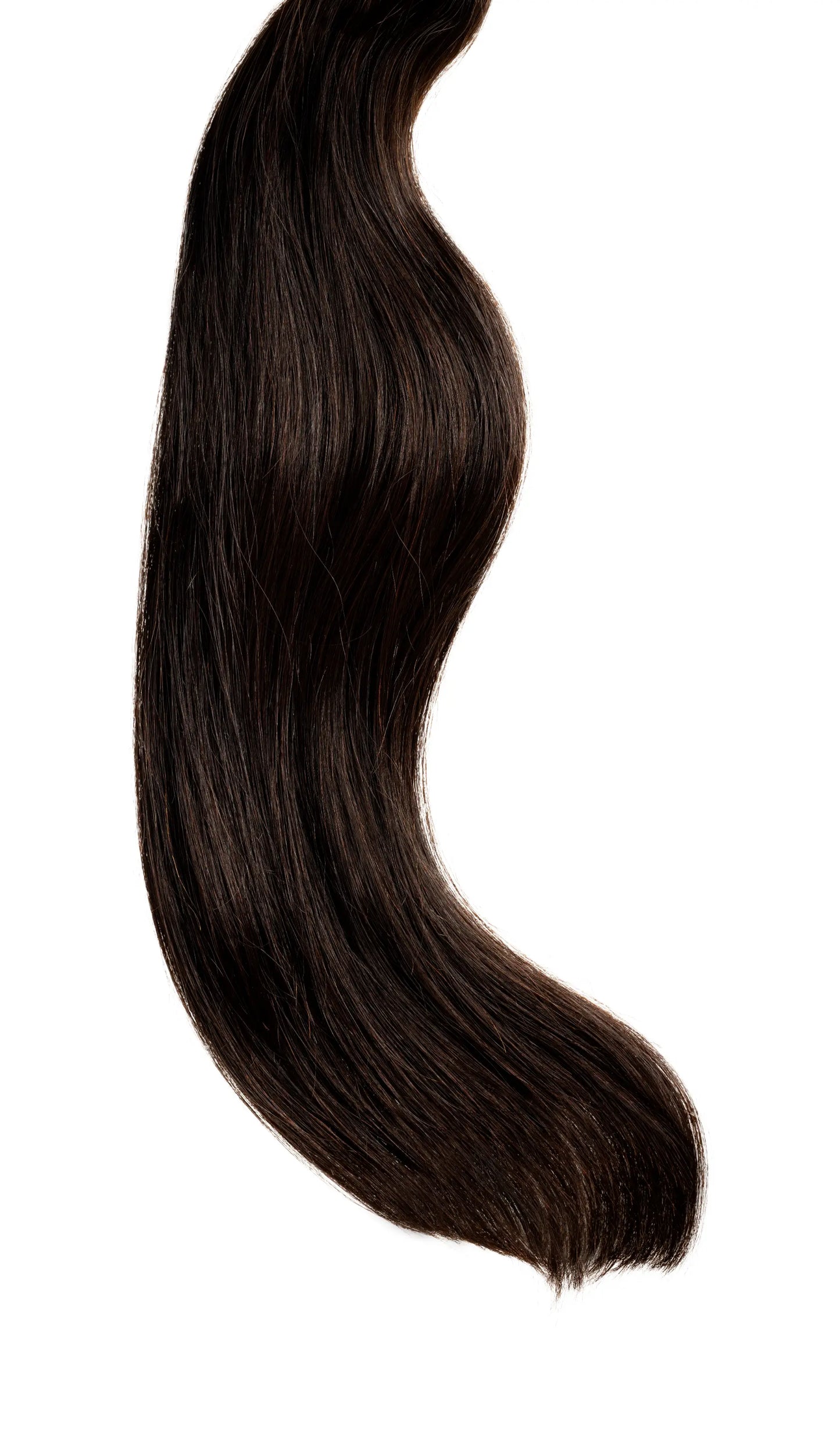 Persian Caviar - Weft